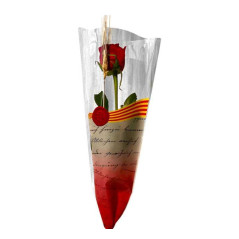 PACK 50 ROSAS SANT JORDI DE 50cm