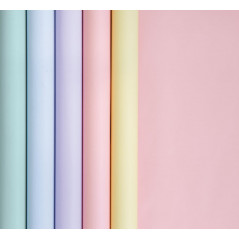 EXPOSITOR 20 ROLLOS PAPEL REGALO CLAIREFONTAINE PASTEL 0,35x5m