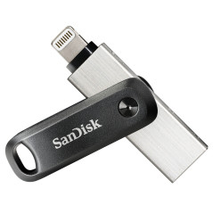 SDIX60N-256G-GN6NE UNIDAD FLASH USB 256 GB 3.2 GEN 1 (3.1 GEN 1) GRIS, PLATA