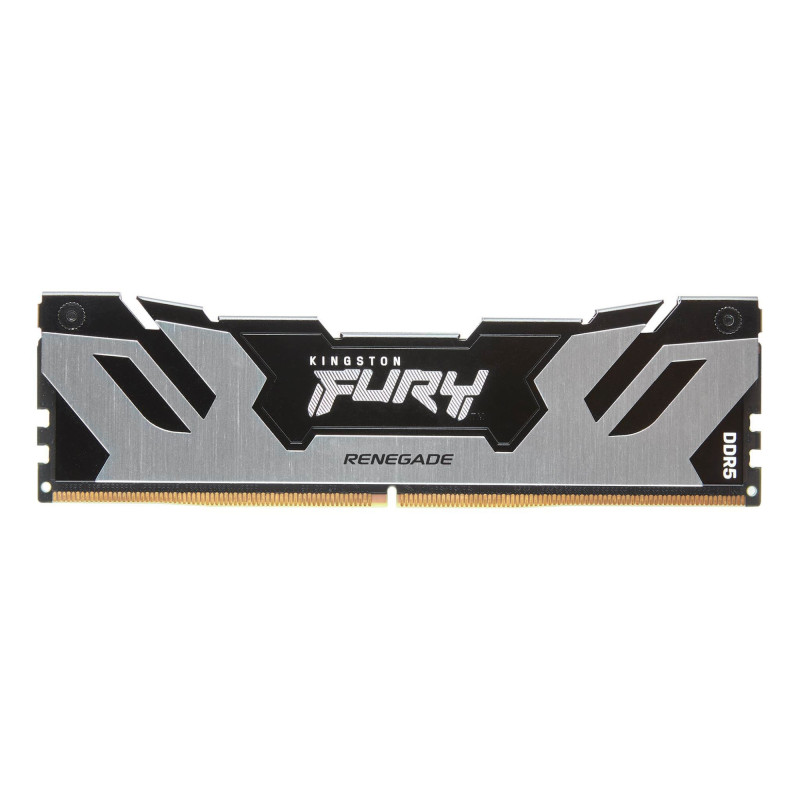 FURY RENEGADE MÓDULO DE MEMORIA 16 GB 1 X 16 GB DDR5 6000 MHZ