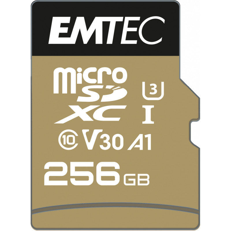 SPEEDIN PRO MEMORIA FLASH 256 GB MICROSDXC UHS-I CLASE 10