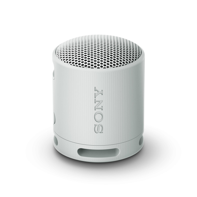 SRS-XB100 ALTAVOZ MONOFÓNICO PORTÁTIL GRIS