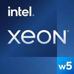 XEON W5-2465X PROCESADOR 3,1 GHZ 33,75 MB SMART CACHE CAJA