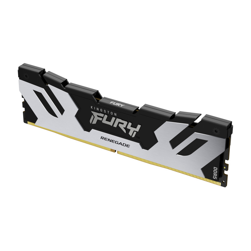 FURY RENEGADE MÓDULO DE MEMORIA 48 GB 1 X 48 GB DDR5