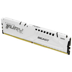 FURY BEAST MÓDULO DE MEMORIA 16 GB 1 X 16 GB DDR5