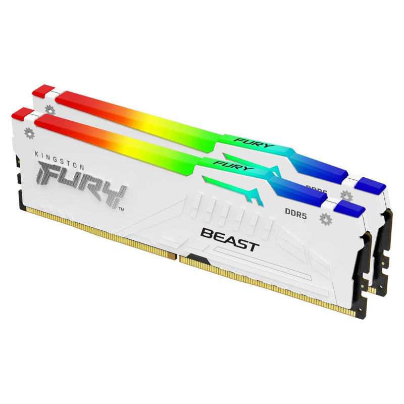 FURY BEAST RGB MÓDULO DE MEMORIA 32 GB 2 X 16 GB DDR5 ECC