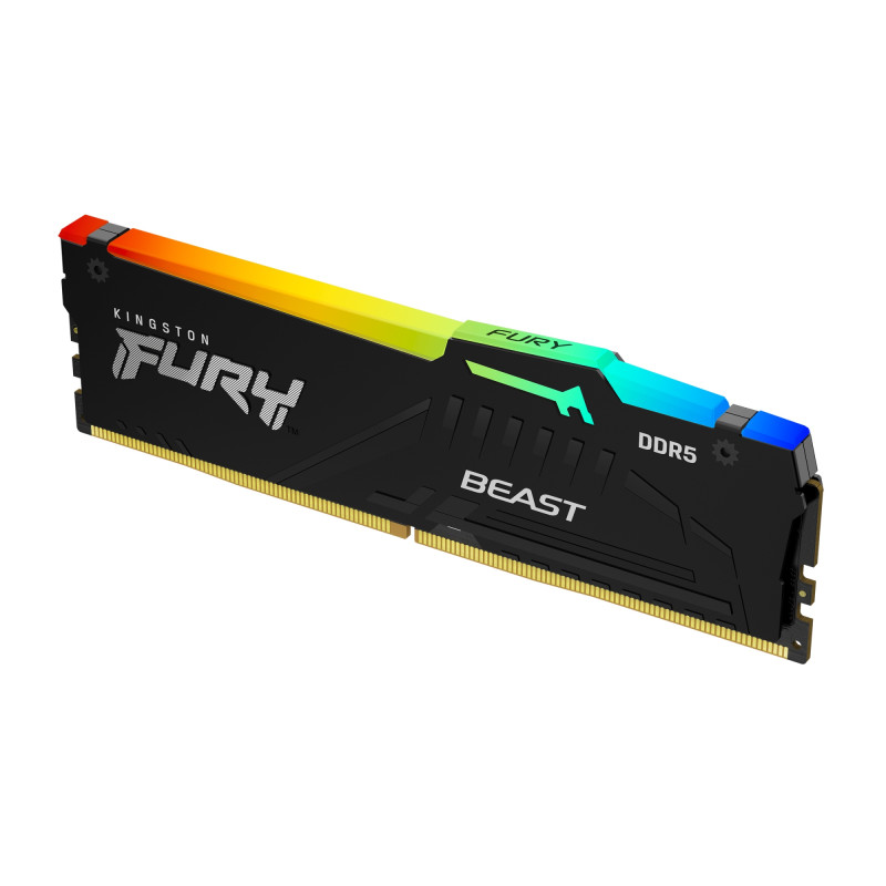FURY BEAST RGB MÓDULO DE MEMORIA 32 GB 1 X 32 GB DDR5 ECC