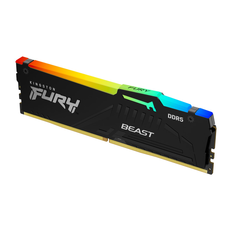 FURY BEAST RGB MÓDULO DE MEMORIA 16 GB 1 X 16 GB DDR5 ECC