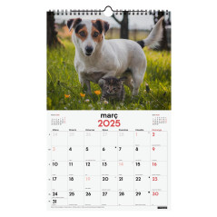 CALENDARIO DE PARED 2025 FINOCAM "IMÁGENES: PERROS Y GATOS" CATALÁN