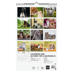 CALENDARIO DE PARED 2025 FINOCAM "IMÁGENES: PERROS Y GATOS" CATALÁN