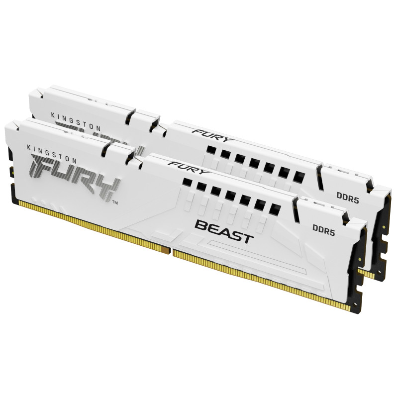 FURY BEAST MÓDULO DE MEMORIA 32 GB 2 X 16 GB DDR5