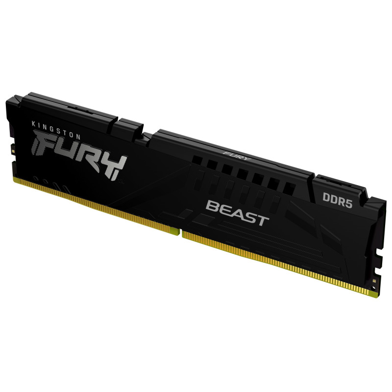 FURY BEAST MÓDULO DE MEMORIA 16 GB 1 X 16 GB DDR5 3000 MHZ