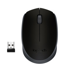 M171 WIRELESS MOUSE RATÓN AMBIDEXTRO RF INALÁMBRICO ÓPTICO 1000 DPI