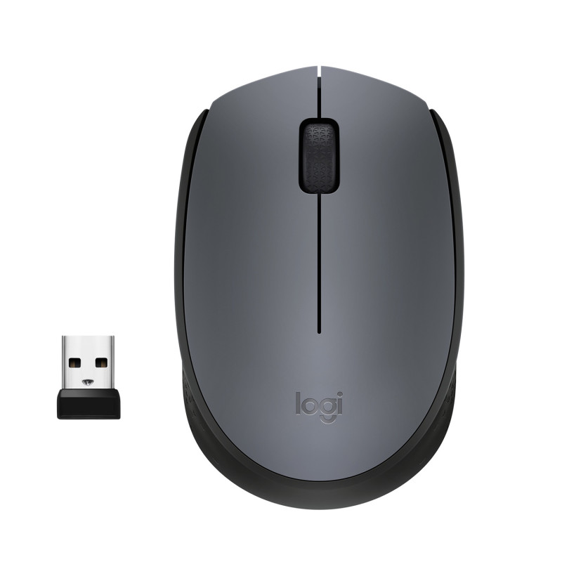 M170 WIRELESS MOUSE RATÓN AMBIDEXTRO RF INALÁMBRICO ÓPTICO 1000 DPI