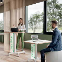 ESCRITORIO COMPACTO LEITZ ERGO SIT-STAND NEUMÁTICO